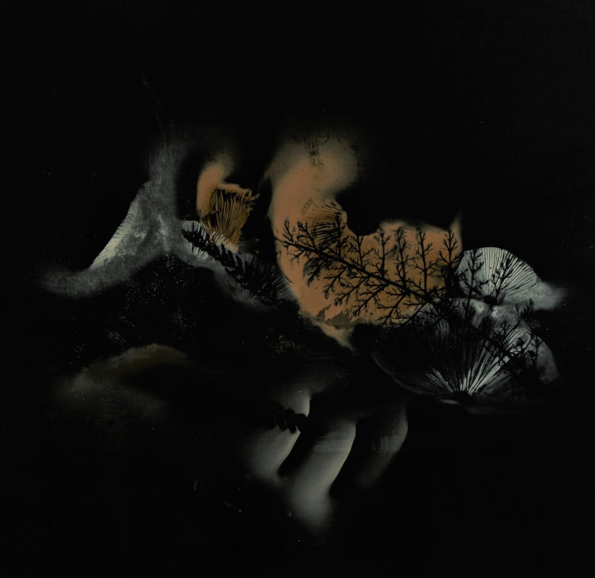 October, Image 1.