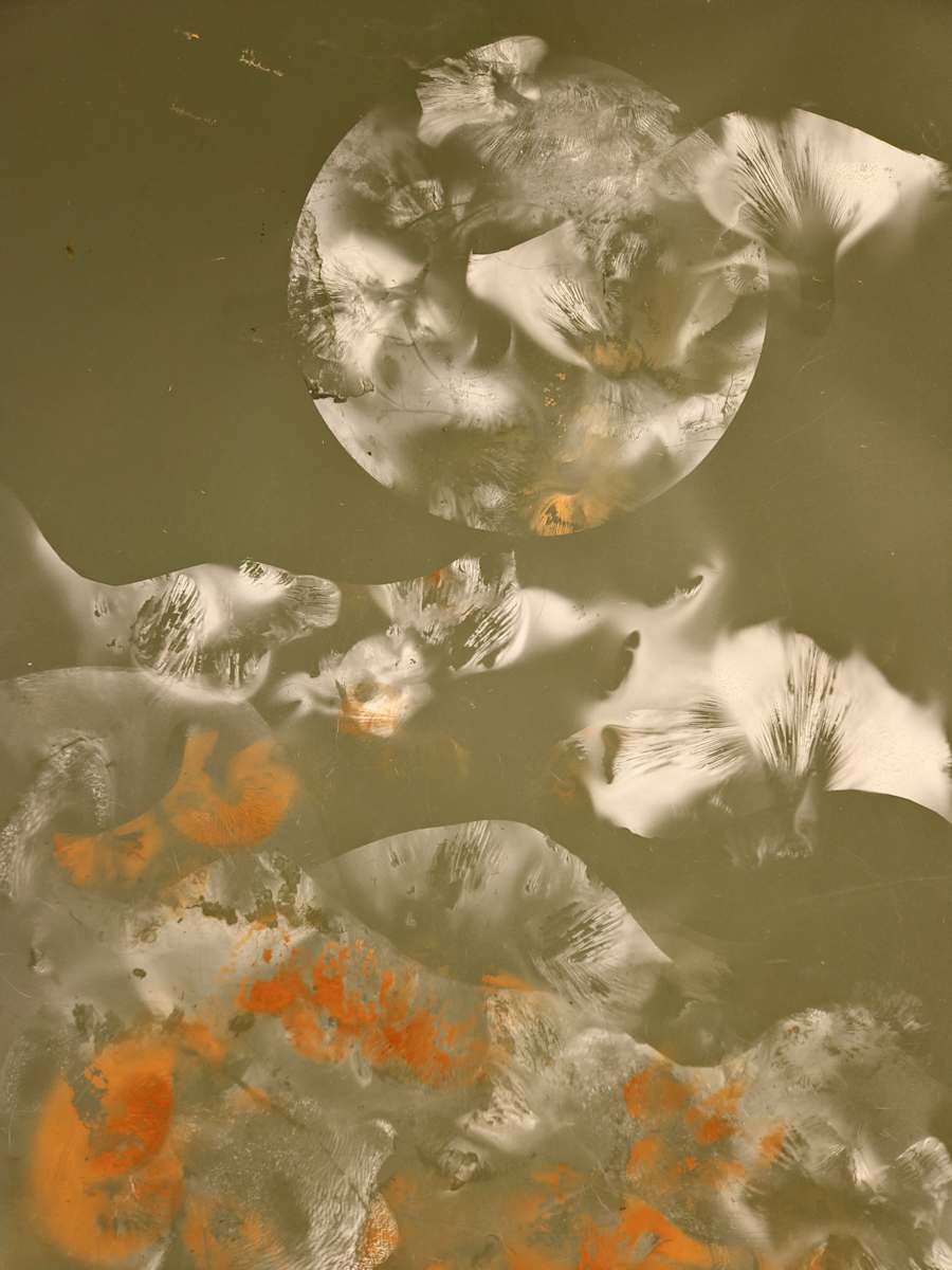 Shape Shifting by Madge Evers  Image: A spore print made with various mushroom species, on green paper
