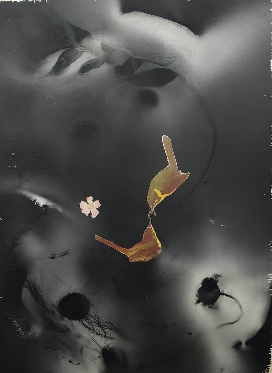 Yellow Breasted Chat by Madge Evers 