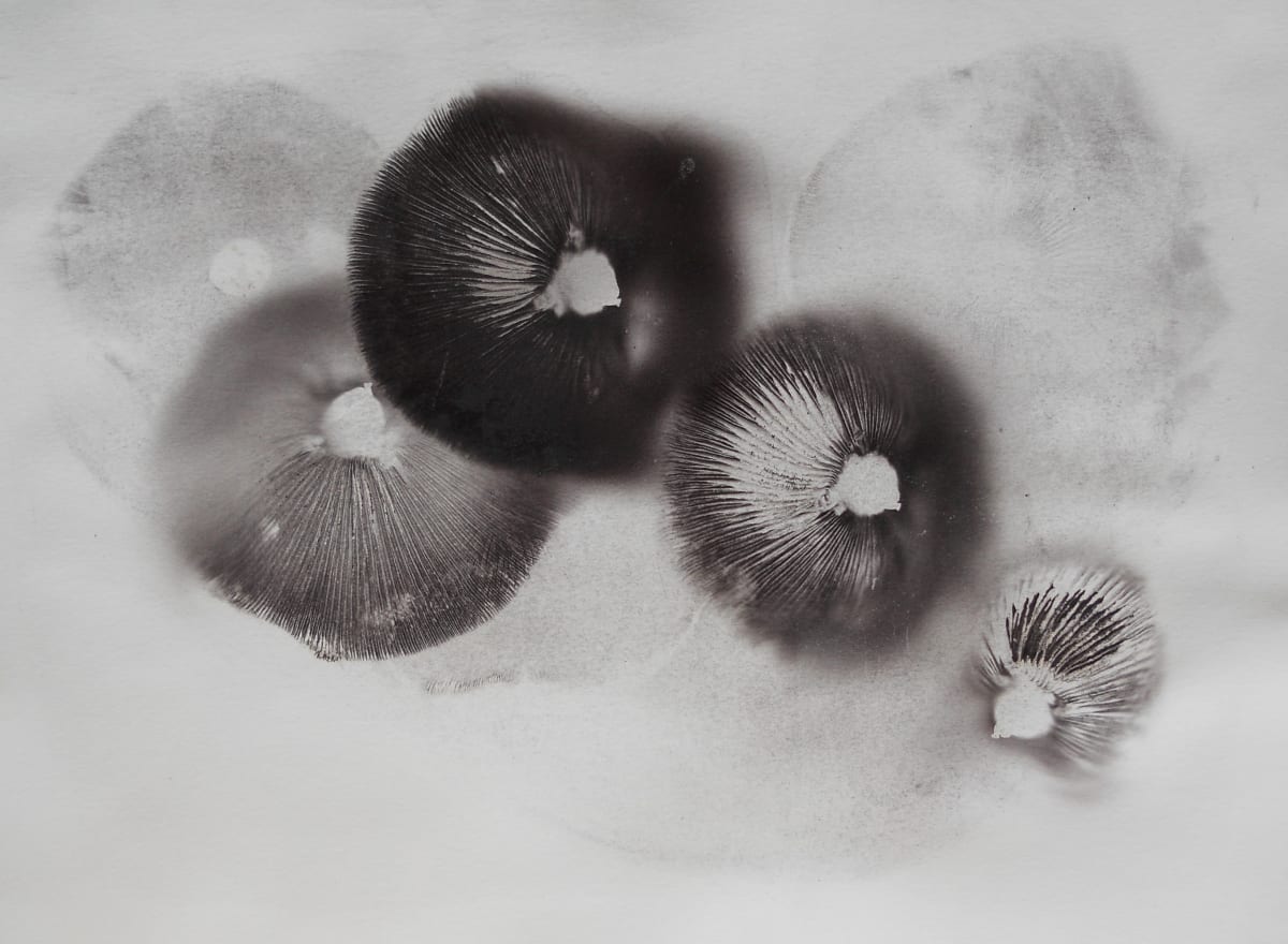 Urchins by Madge Evers 