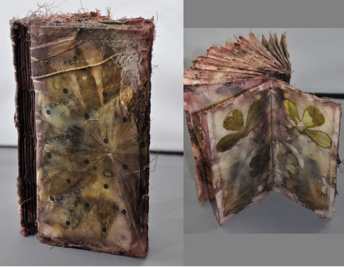 Garden Book: Backyard by Susan Hensel 