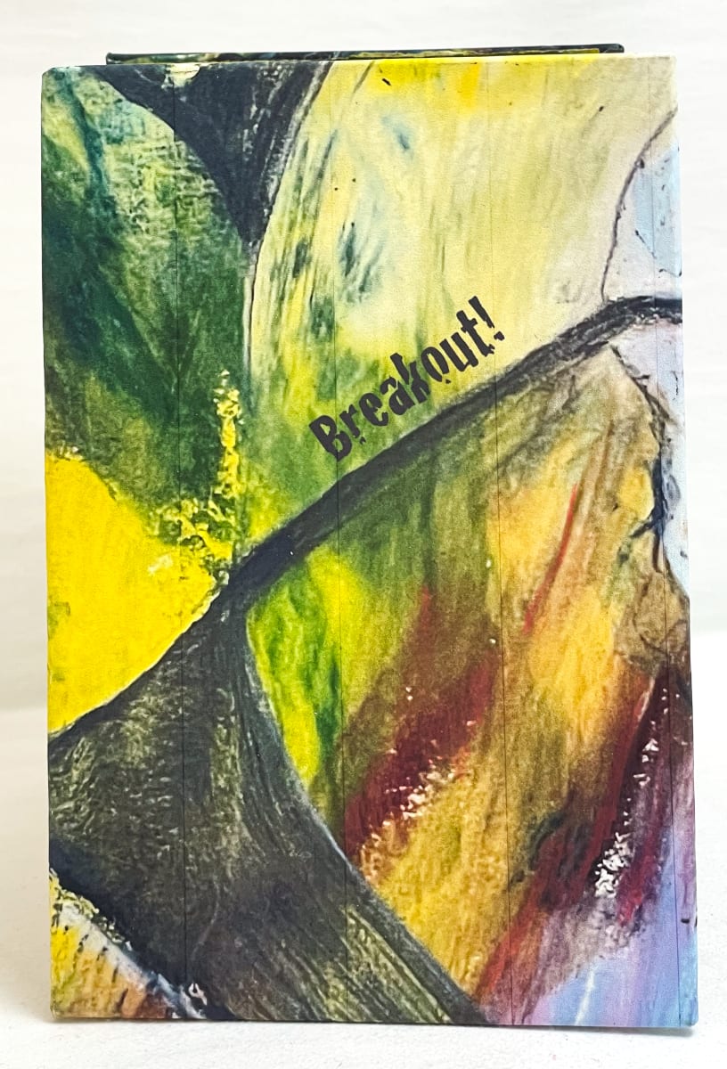 Breakout by Susan Hensel 