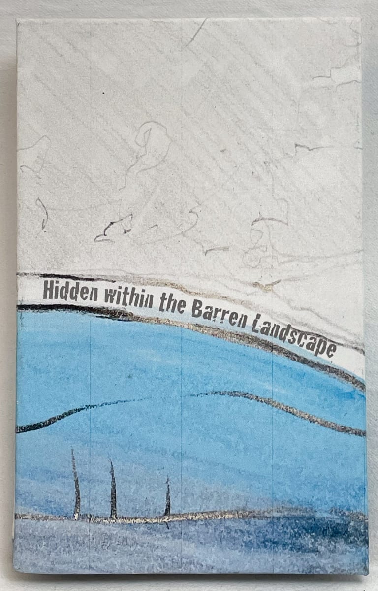 Hidden within the Barren Landscape by Susan Hensel 