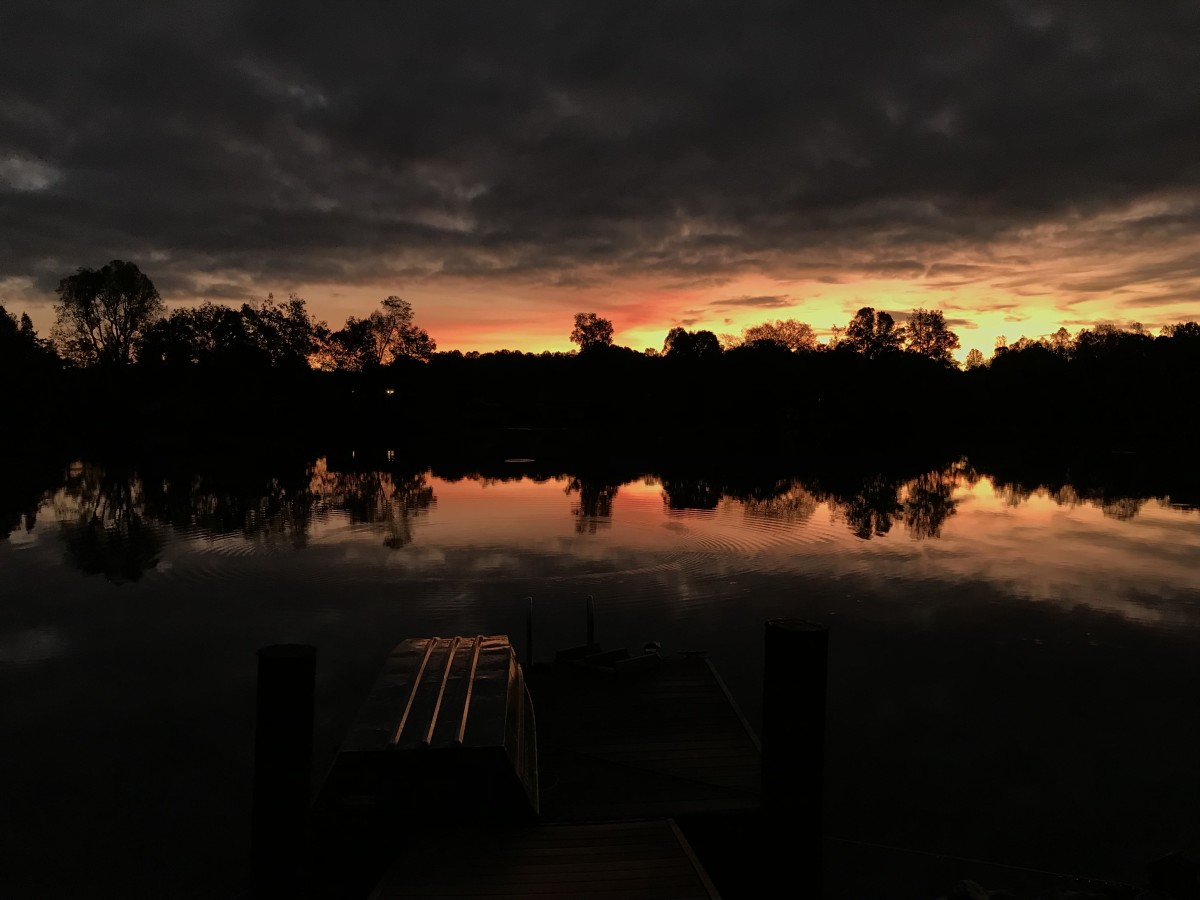 Golden Morning Series© - Item #0826 by Lake Orange Sunrises LLC, Lisa Francescon, Owner 