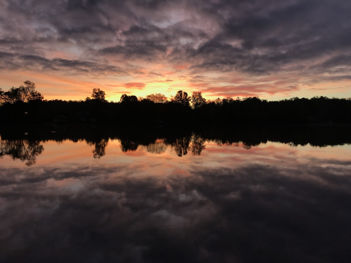 Golden Morning Series© - Item #0845 by Lake Orange Sunrises LLC, Lisa Francescon, Owner 