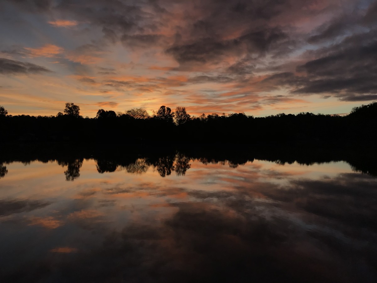Golden Morning Series© - Item #0866 by Lake Orange Sunrises LLC, Lisa Francescon, Owner 