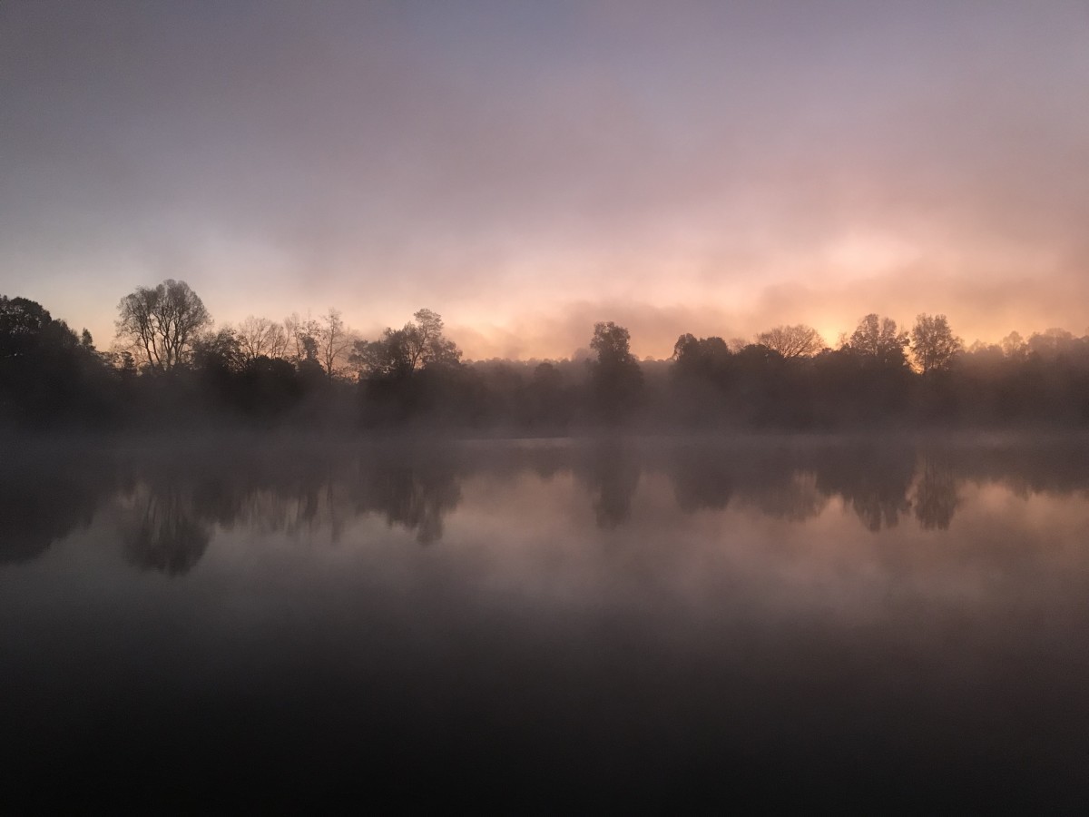 Orange Fog Series© - Item #1027 by Lake Orange Sunrises LLC, Lisa Francescon, Owner 