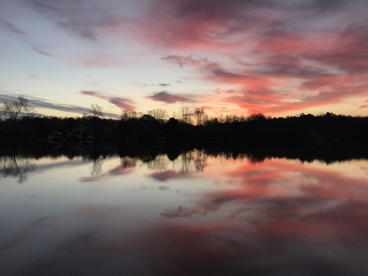 Pure Pink Joy Series© - Item #3253 by Lake Orange Sunrises LLC, Lisa Francescon, Owner 