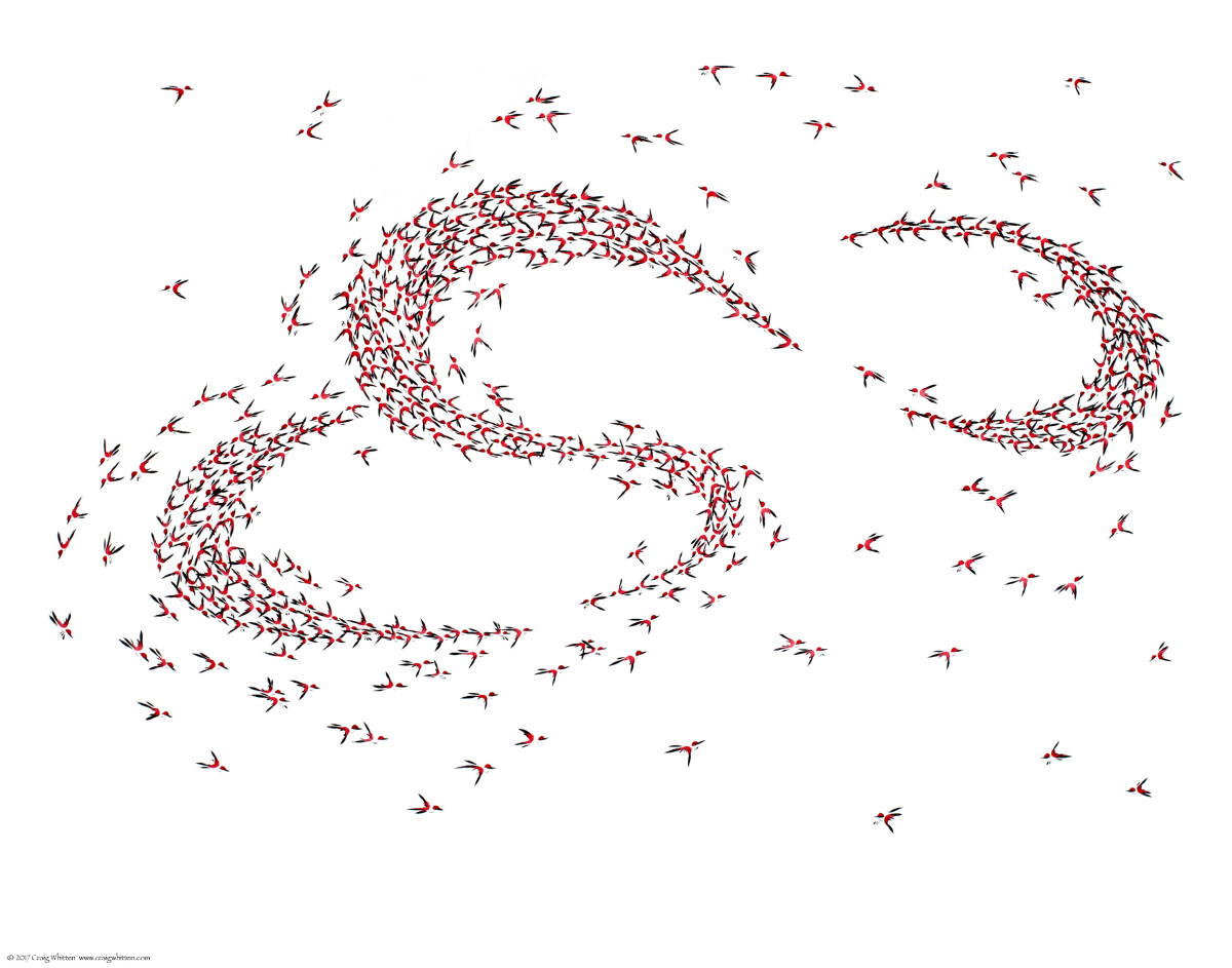 Murmuration I by Craig Whitten 