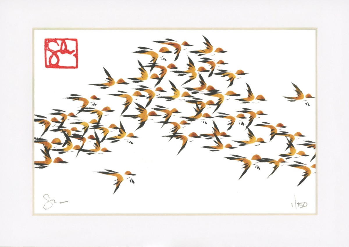 Murmuration Series by Craig Whitten 