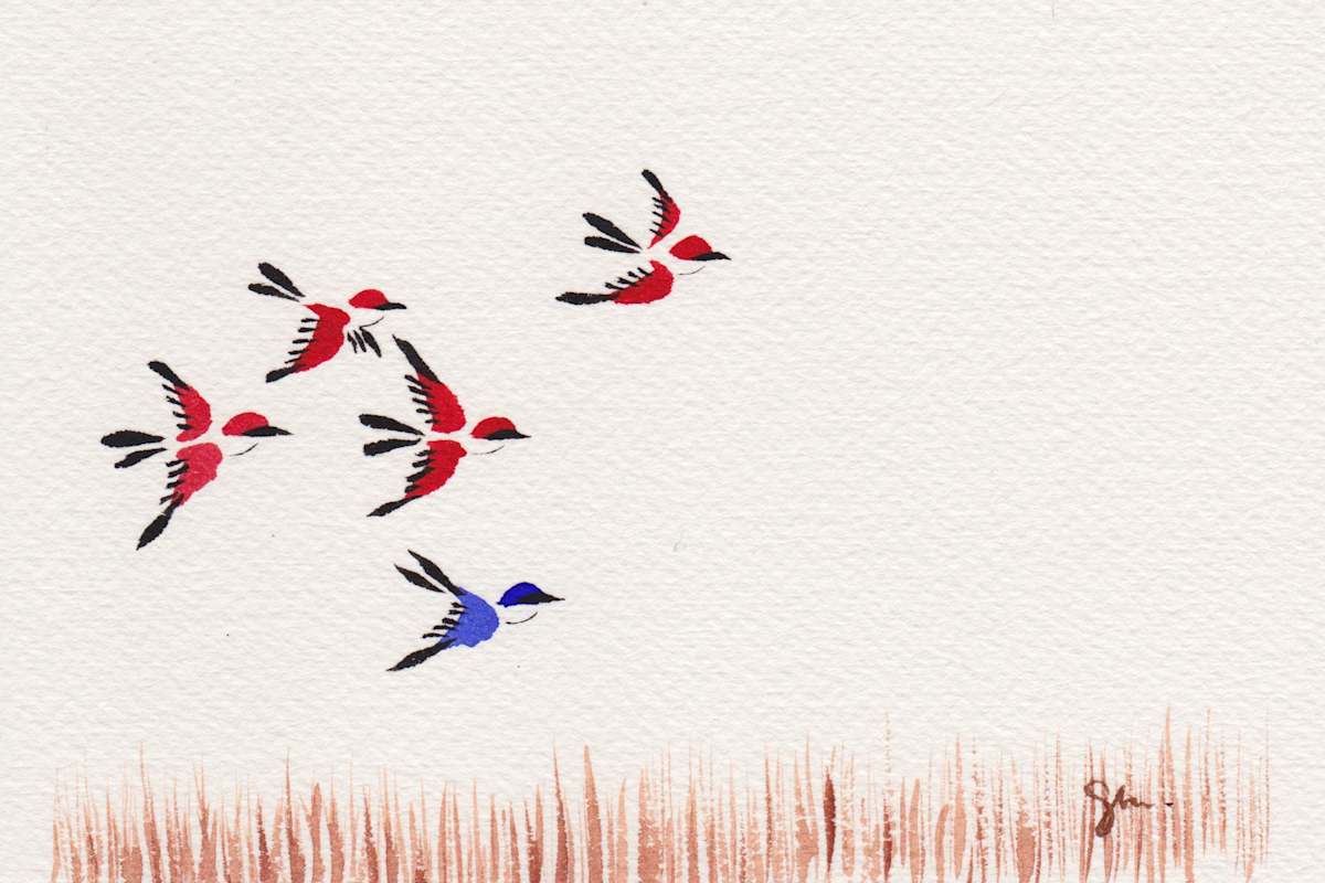 Bird Series -Field by Craig Whitten, Image 1.