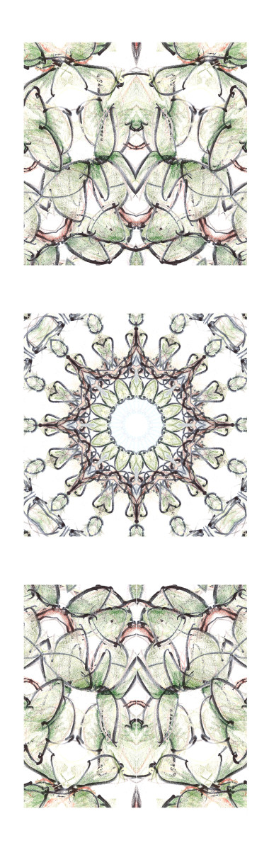 Forest Mandala by Craig Whitten 