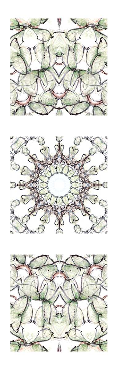 Forest Mandala by Craig Whitten, Image 1.