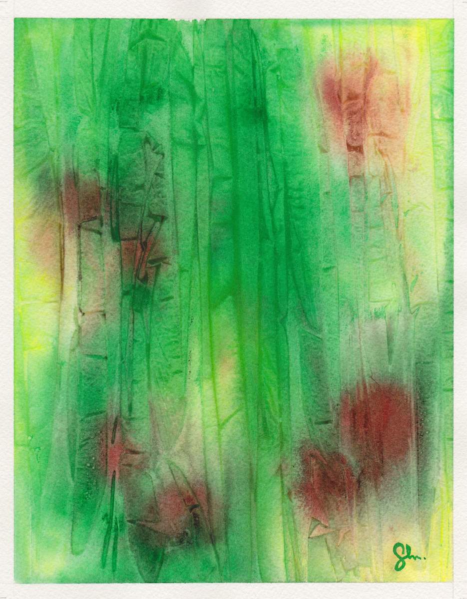 Forest Rain 3 by Craig Whitten, Image 1.