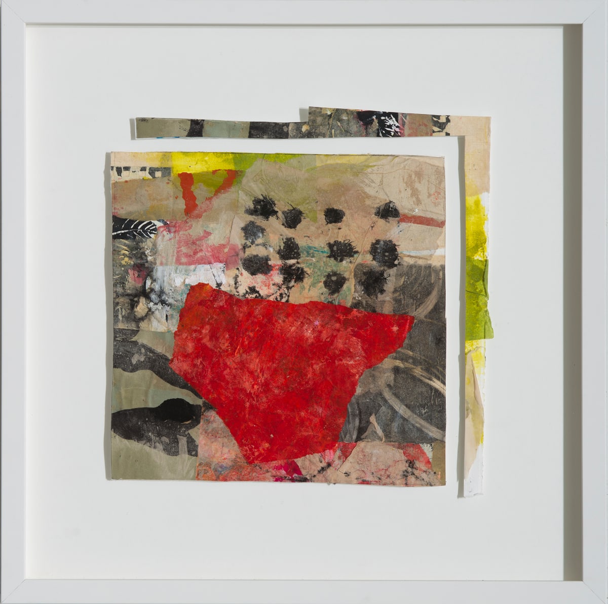 Stepping Into the Light 