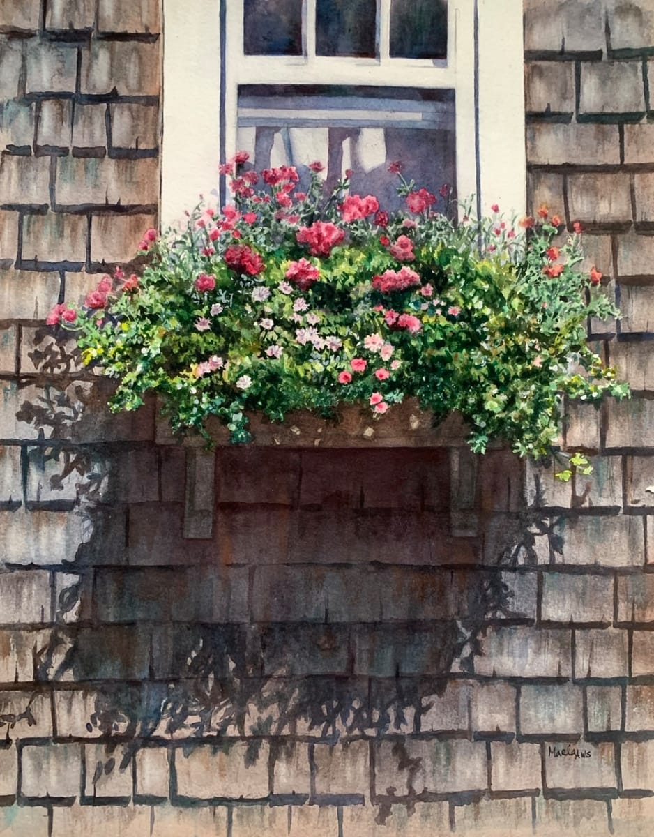 Window Box 