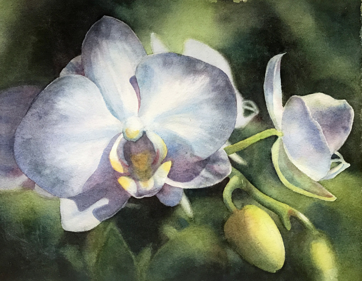 Lone Orchid by Marla Greenfield 