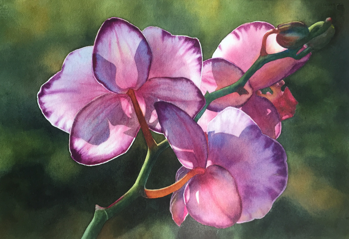 Sunbathing Beauty by Marla Greenfield 