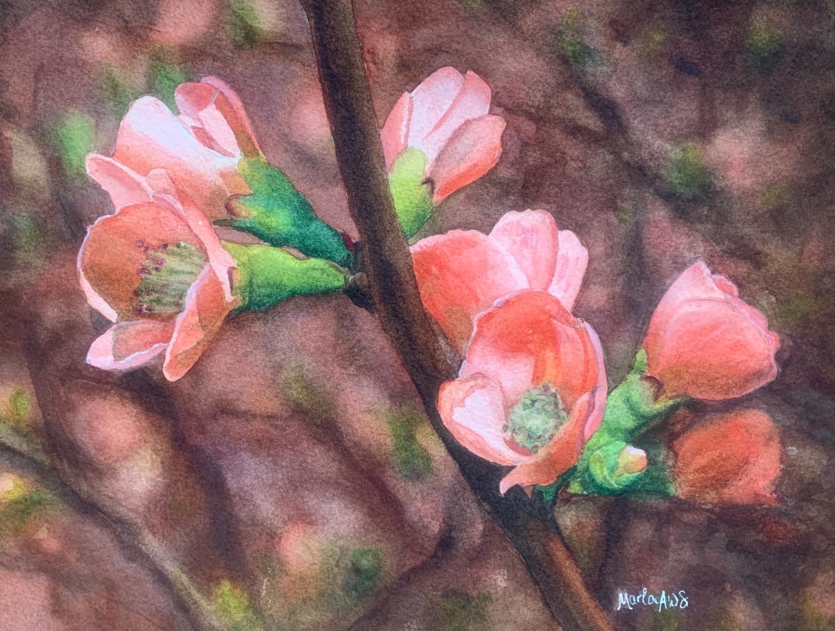 Blossoms by Marla Greenfield 