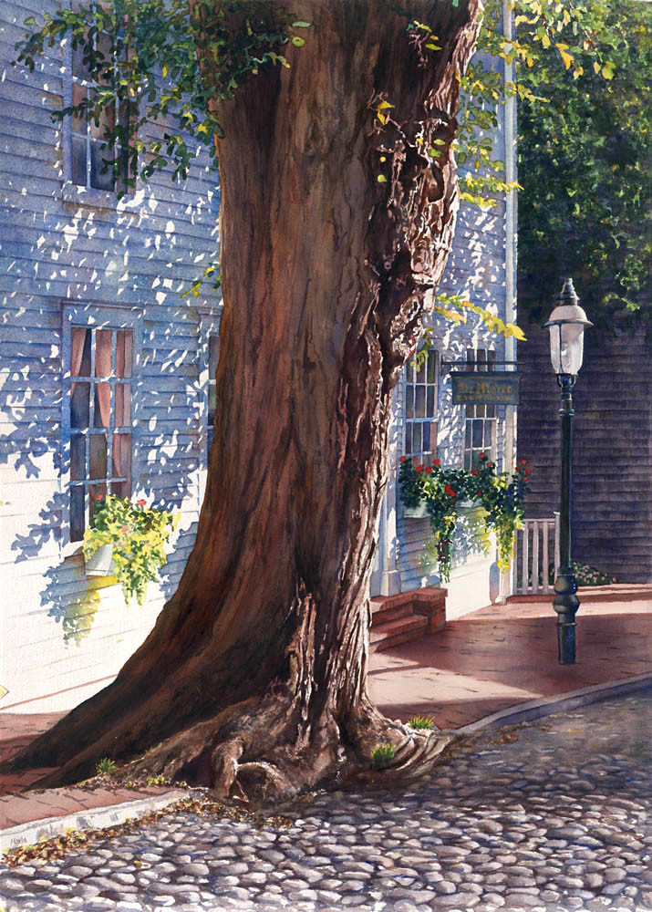 India Street Tree by Marla Greenfield 