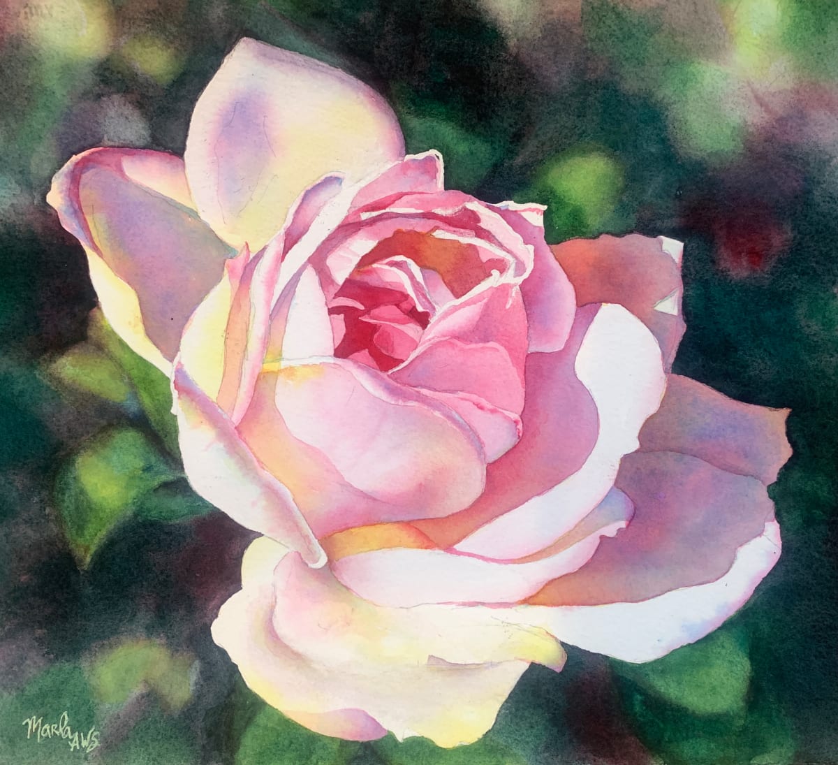 Rose Tinted View by Marla Greenfield 