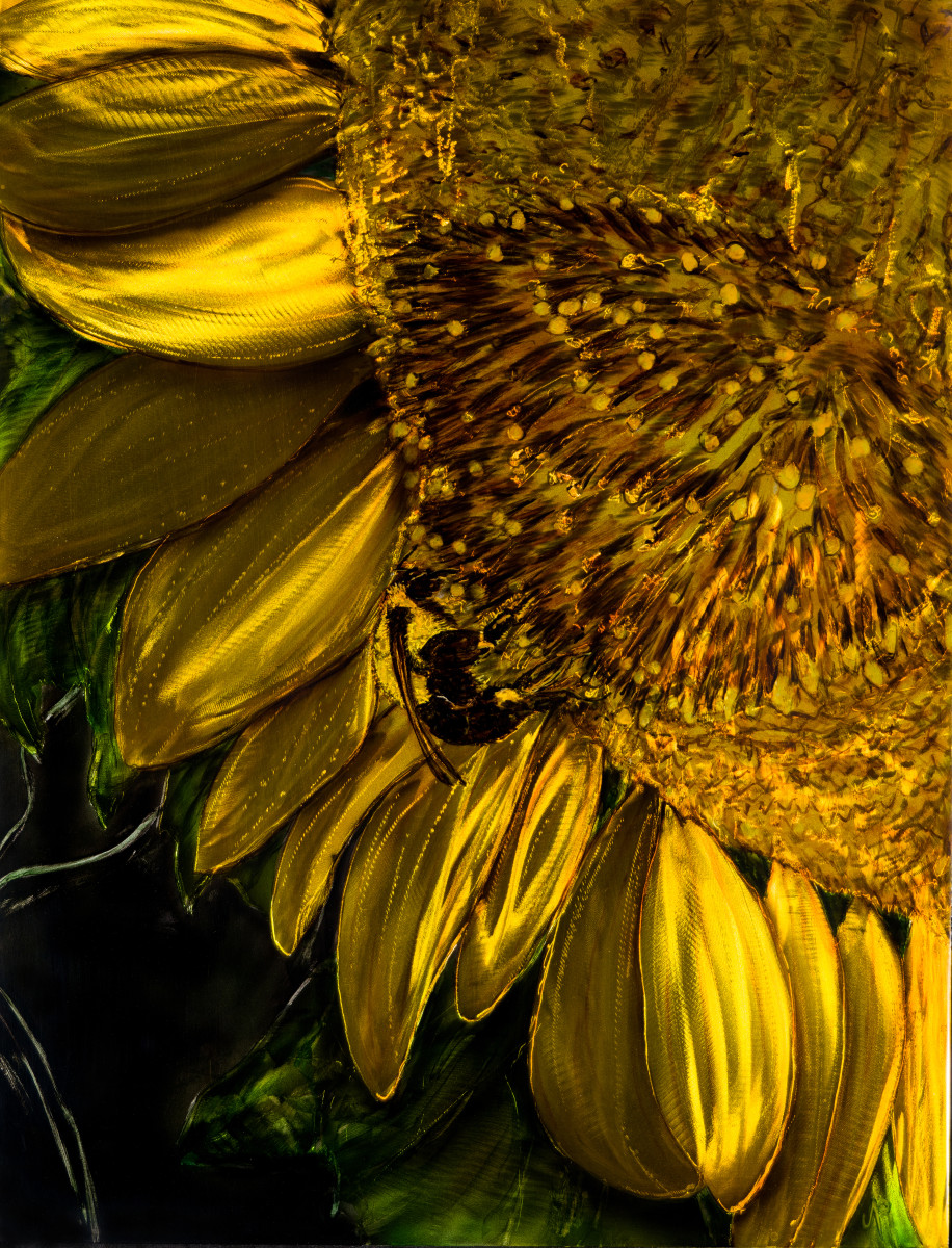 Yellow Sunflower by James Norman Paukert 