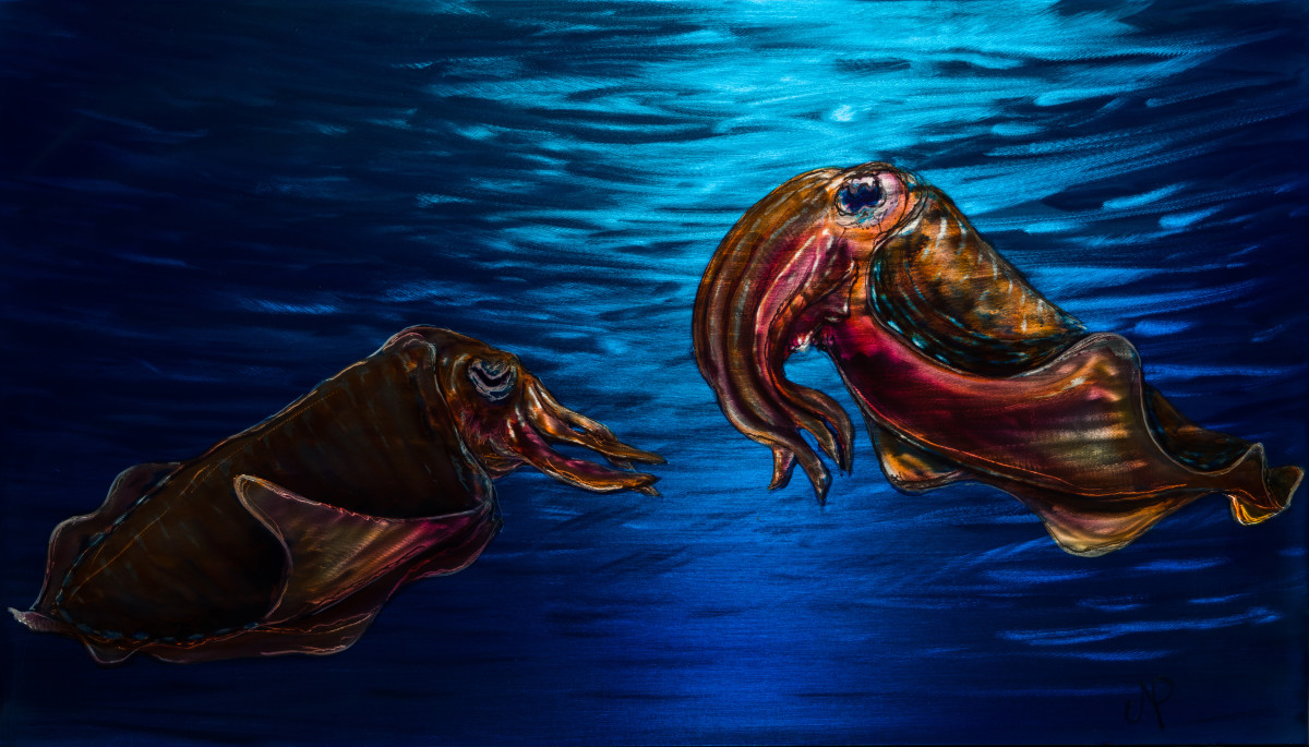 Cuddle Fish by James Norman Paukert 