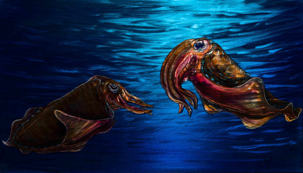 Cuddle Fish by James Norman Paukert, Image 2.