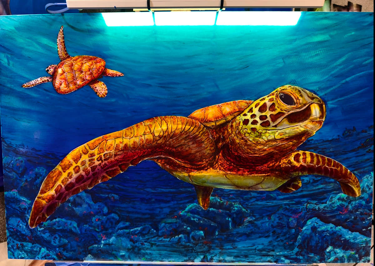 Peek a boo turtles by James Norman Paukert 