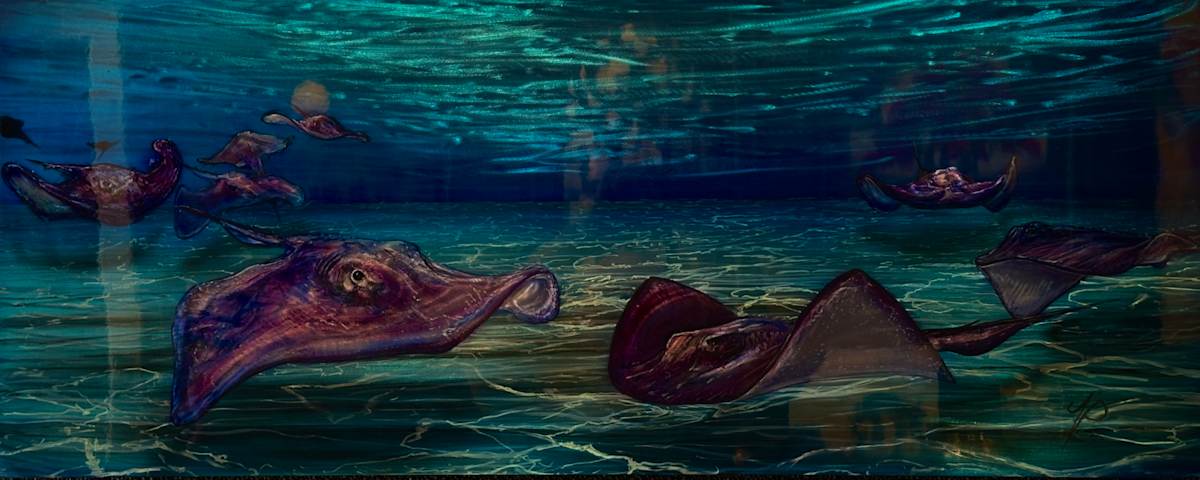Stingray City by James Norman Paukert, Image 1.