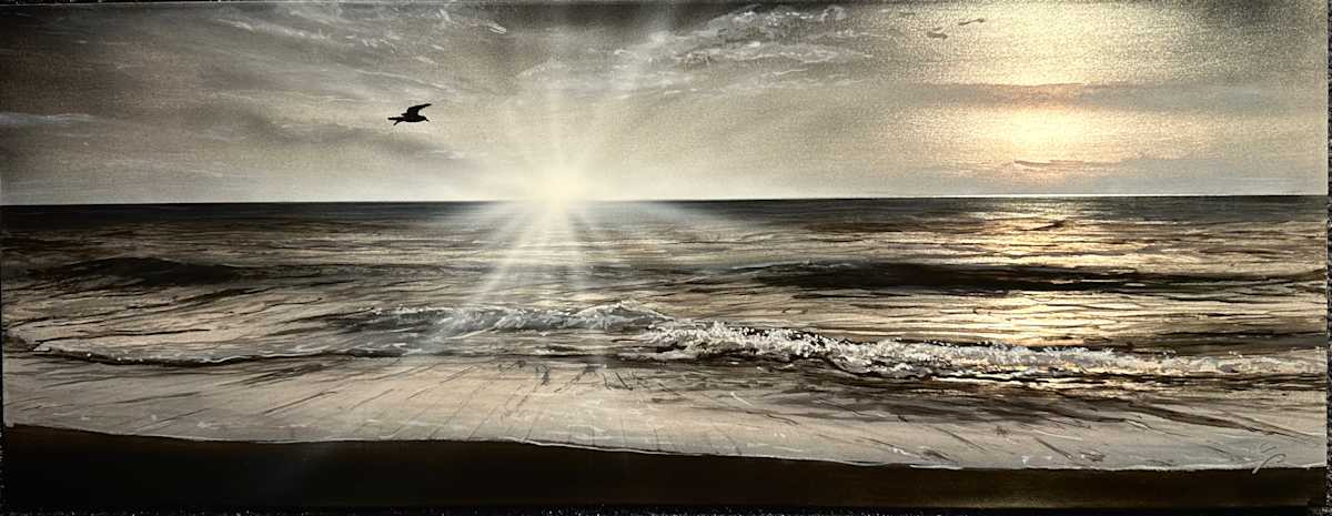 Satin waves peaceful flight by James Norman Paukert 