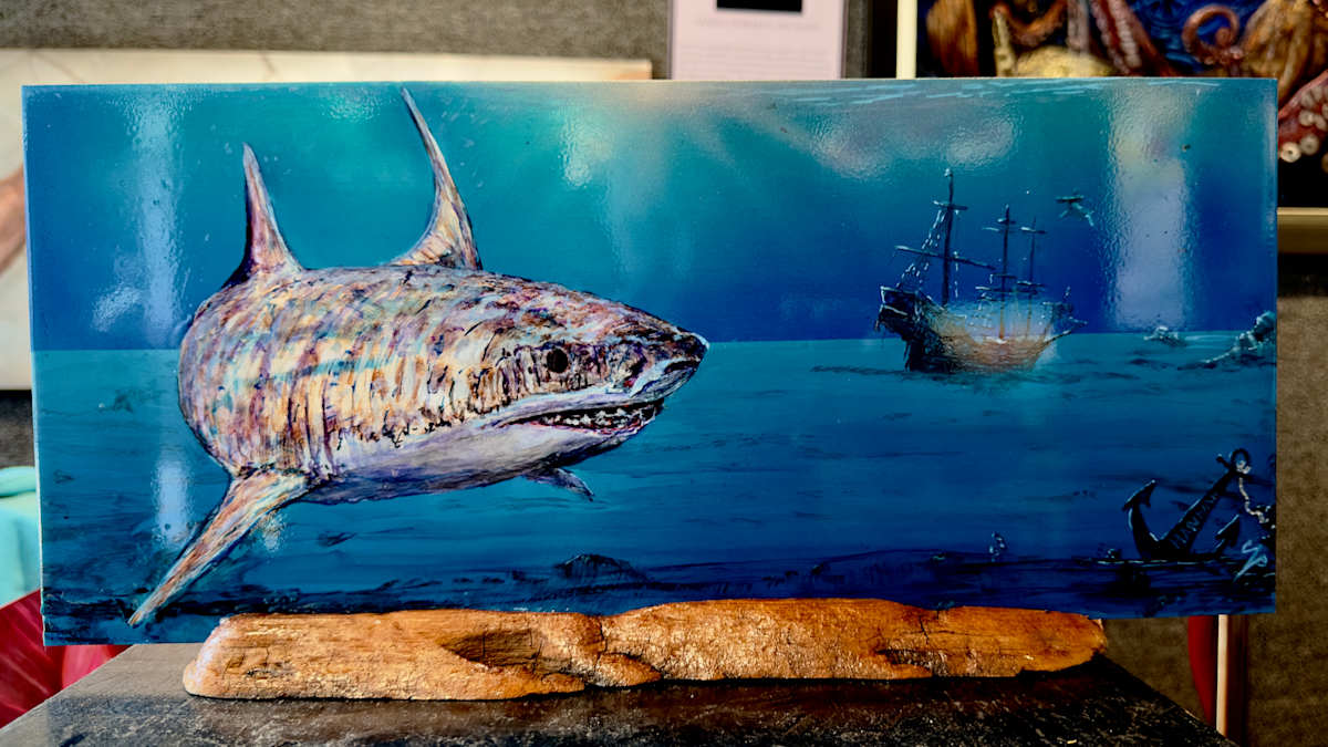 Black Barts baby tiger. by James Norman Paukert  Image: Table topper tiger shark front