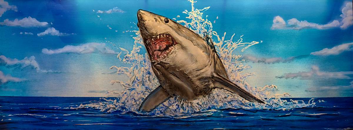 Greatwhite mini by James Norman Paukert 