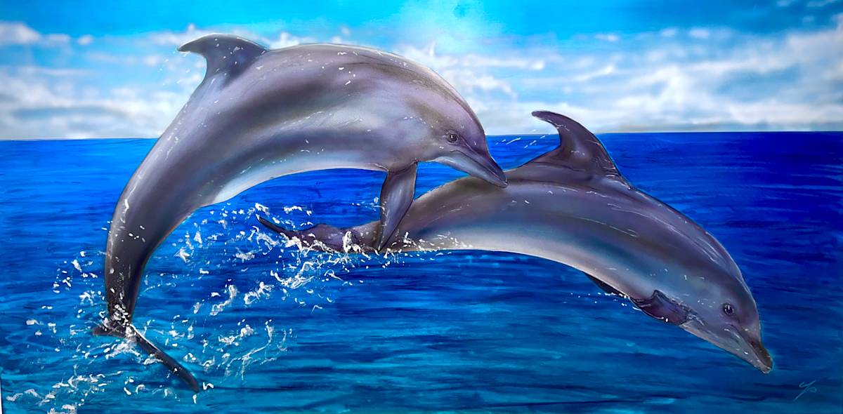 Jump in by James Norman Paukert  Image: Happy dolphins hoping to it ! 