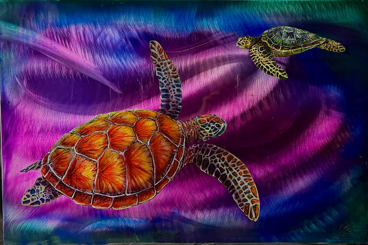 Aurora turtles by James Norman Paukert  Image: Celestial Cosmic Turtles swimming through the aurora .