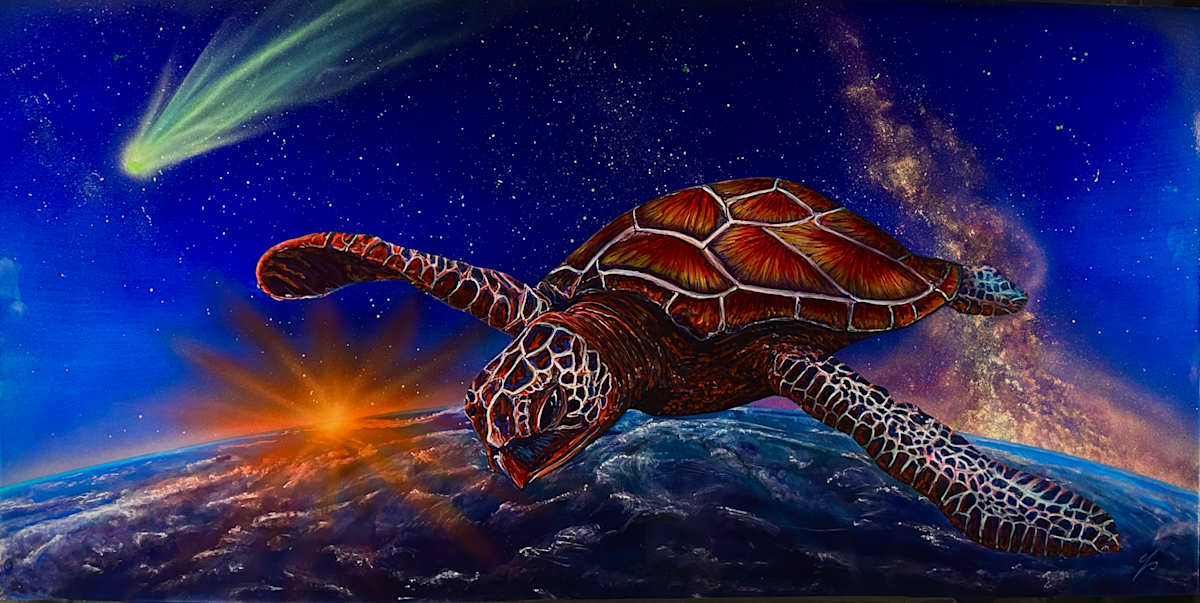 Landing pad celestial turtle by James Norman Paukert  Image: Turtle island is home.