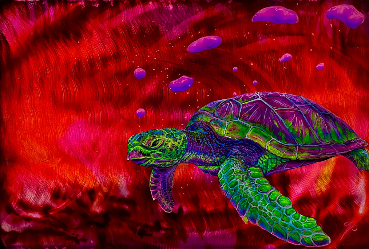Sunkist Turtle by James Norman Paukert, Image 1.