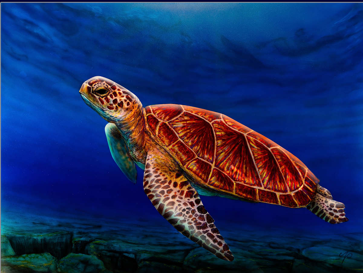 Finns Friend by James Norman Paukert  Image: Finns Friend 