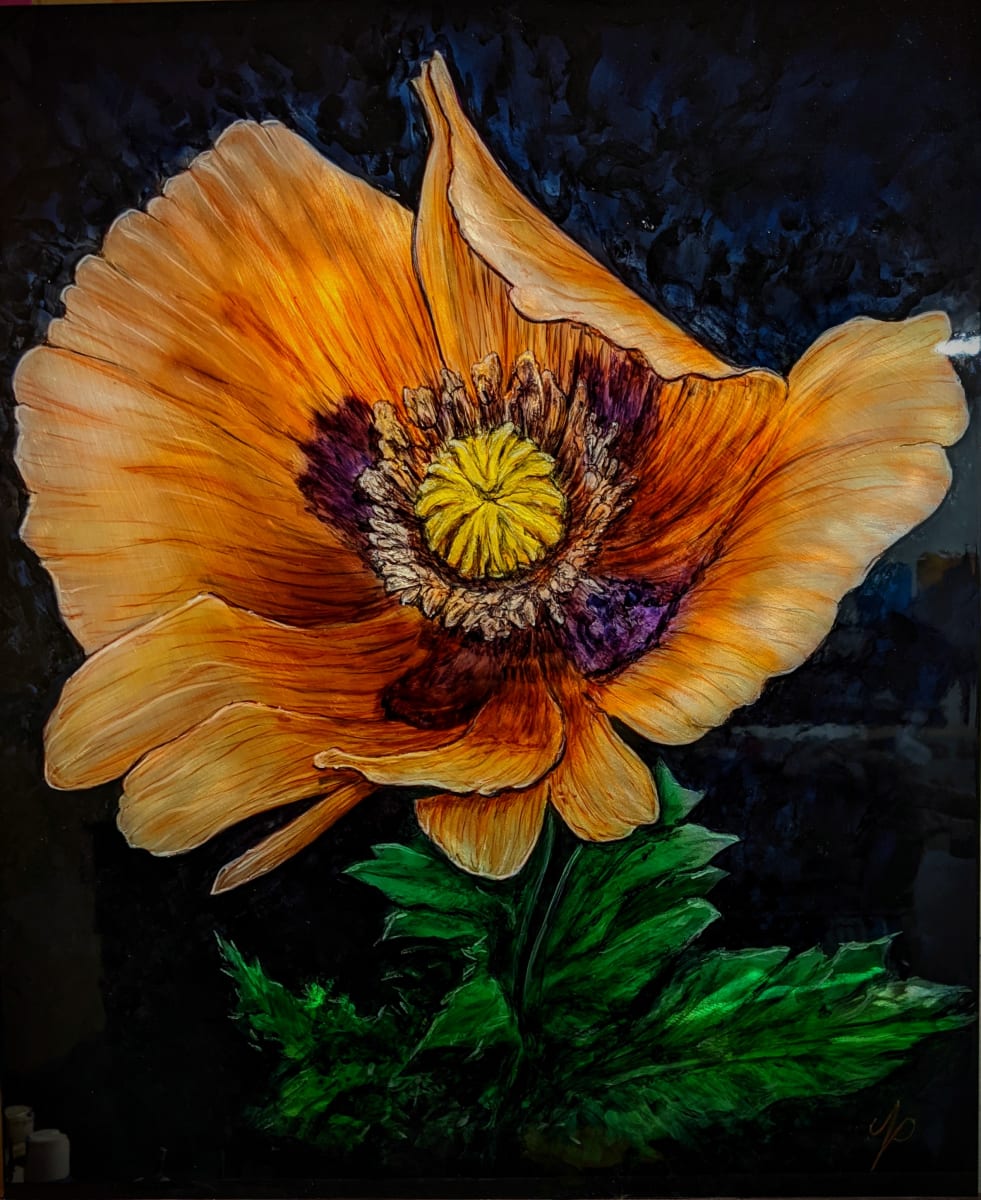 Orange Poppy 