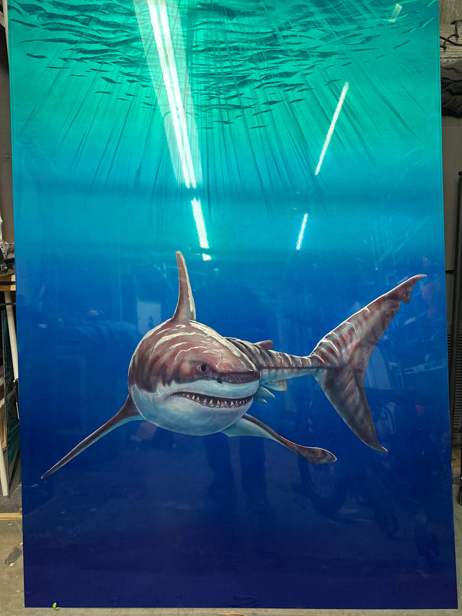 Touch the Tiger by James Norman Paukert  Image: Tiger shark with grinded highlights 