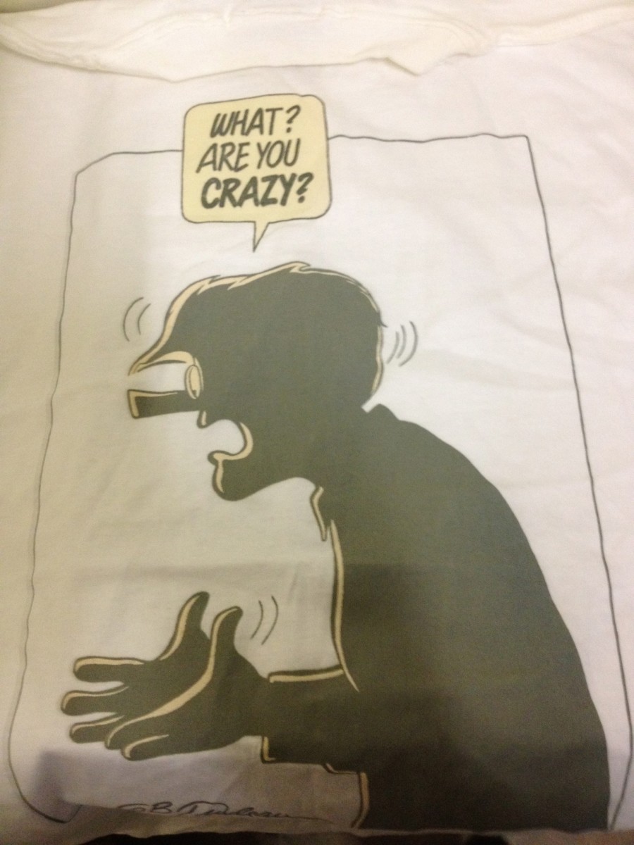 "What?  Are You Crazy?" by Garry Trudeau 