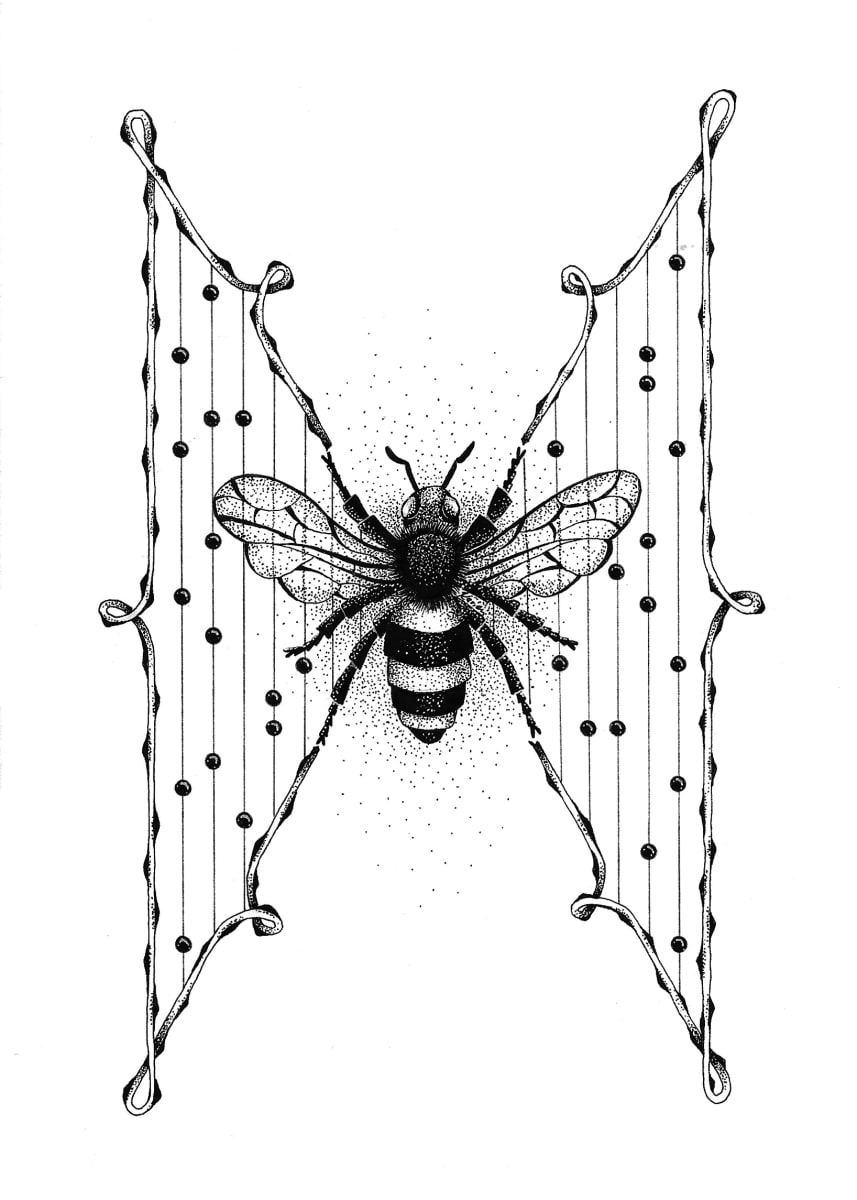 A Pollinated Path, Image 1.