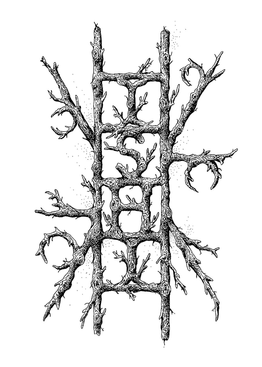 Ishi, Image 1.