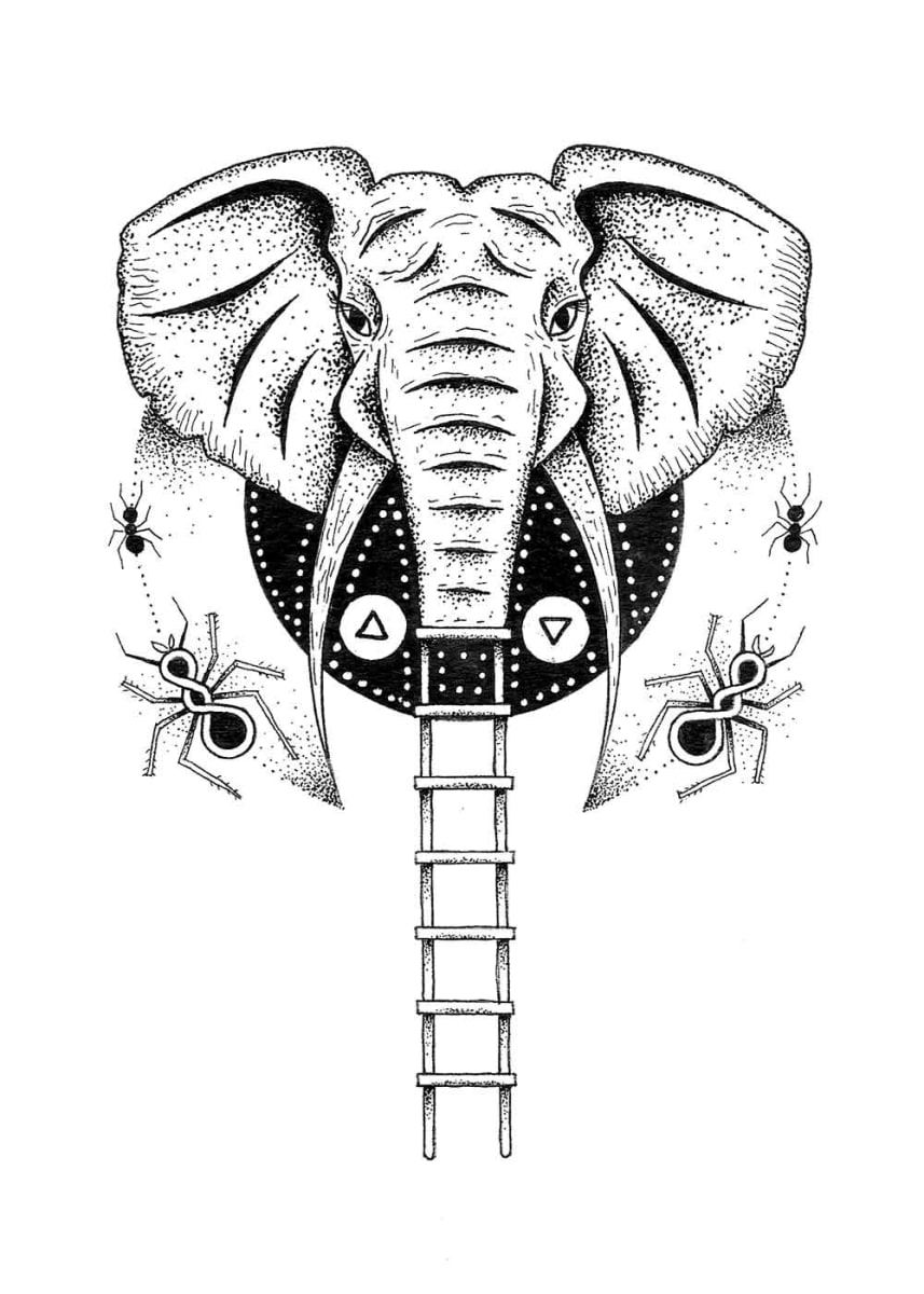 The Quest For Acumen by Karien Bredenkamp, Image 1.
