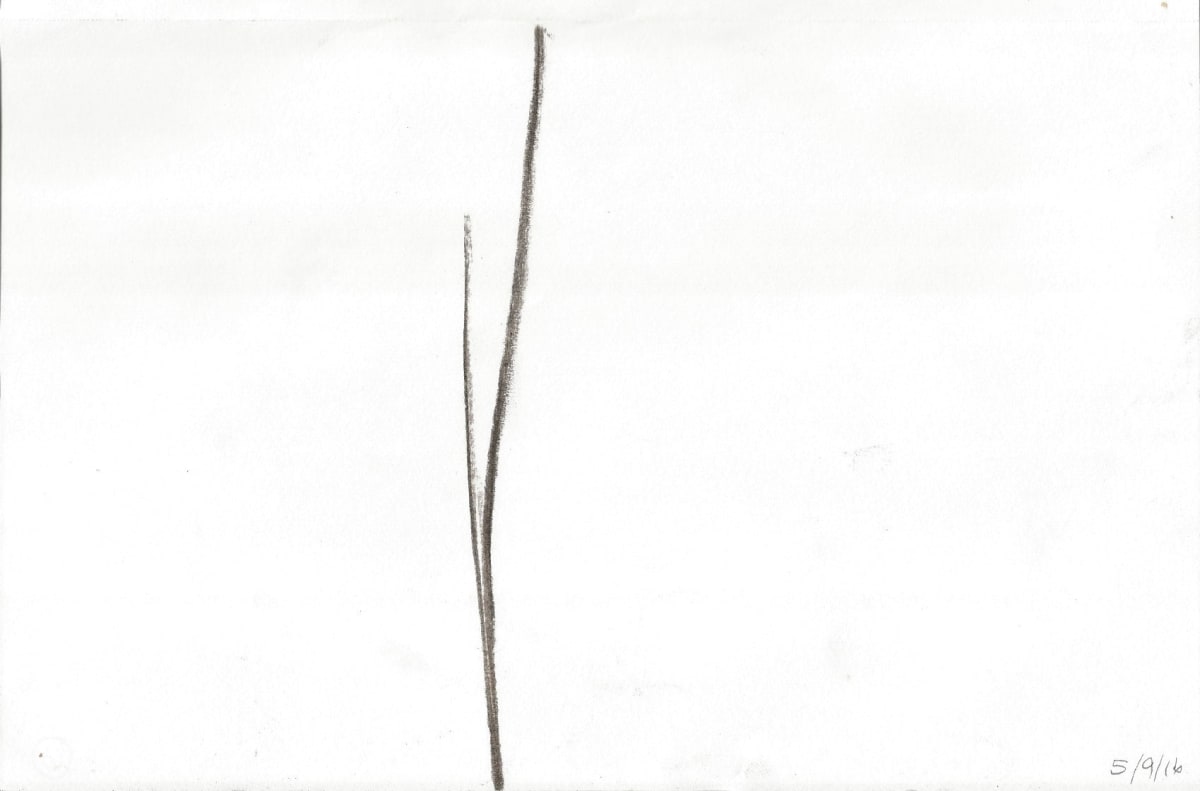 Waking Up #3 by Nsenga Knight 