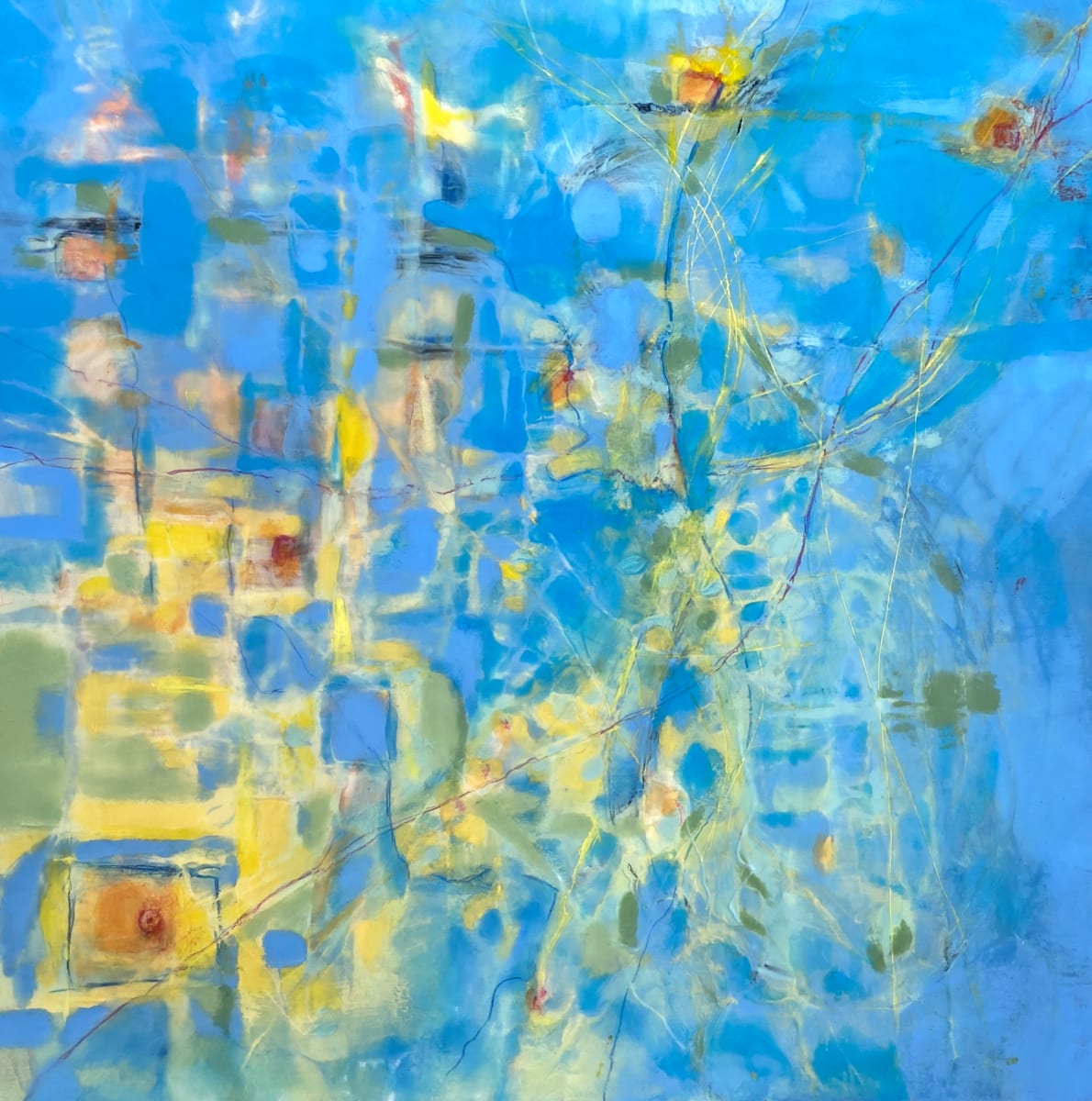 Navigating the Blue by Terri Yacovelli 