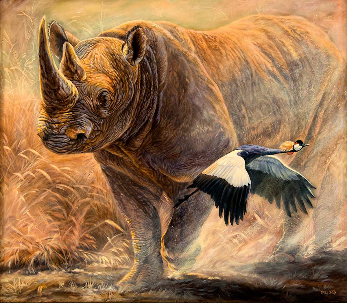 African Thunder 