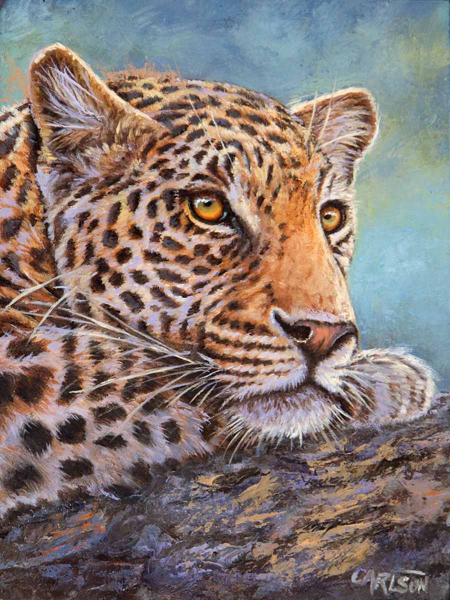 African Leopard II by cory Carlson 