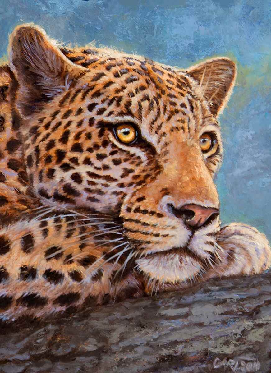 African Leopard III by cory Carlson 