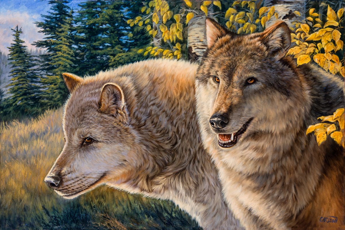 Alpha Pair, Image 5.
